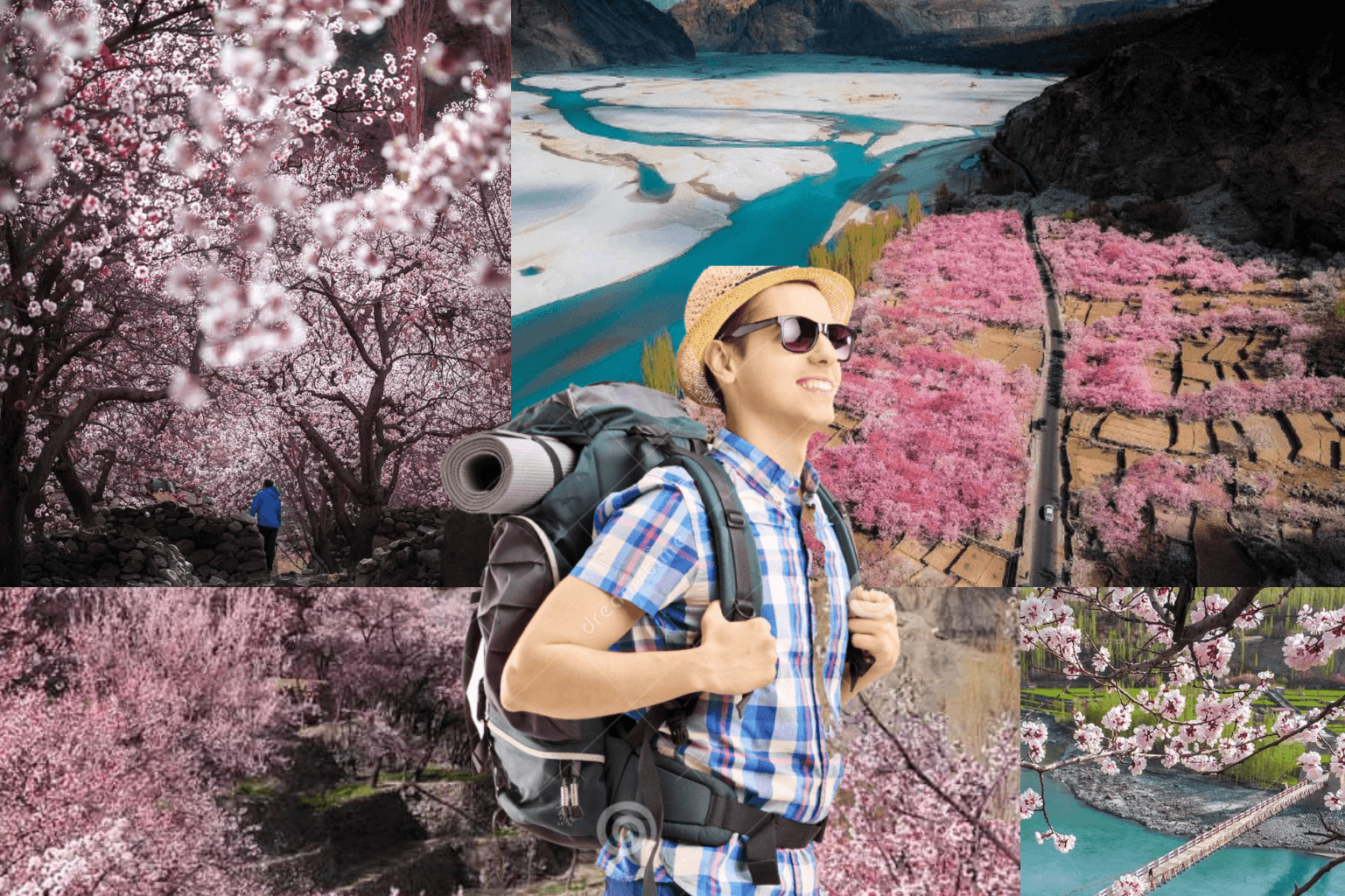 Witness the Blossom Magic Background